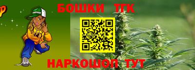 гидра Гатчина