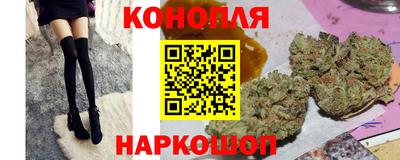 гидра Гатчина