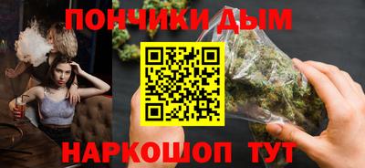 гидра Гатчина