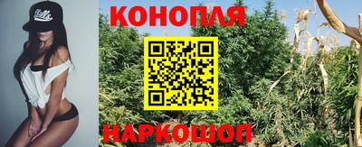 марки lsd Гай