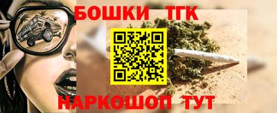 гидра Гатчина