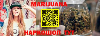 гидра Гатчина