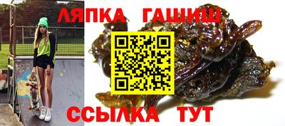 гидра Гатчина