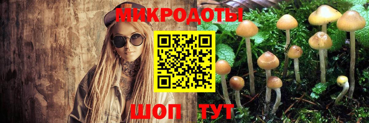 Галлюциногенные грибы Psilocybine cubensis  Вход с VPN  Можайск 